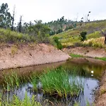 Farm stay Quinta Glamping