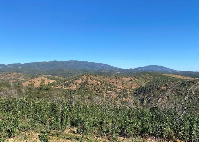 בית חווה Quinta Glamping *